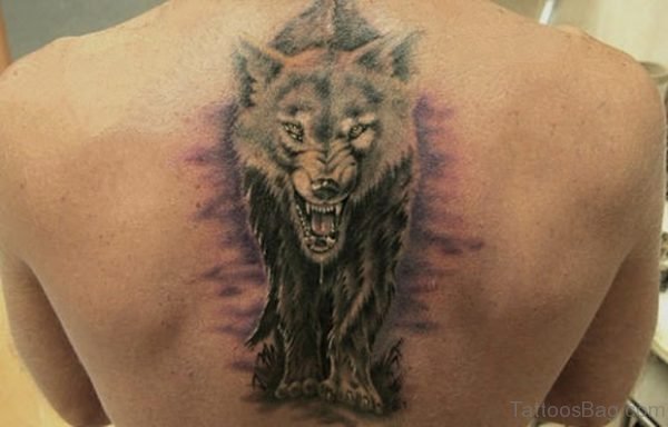 Angy Wolf Tattoo On Back