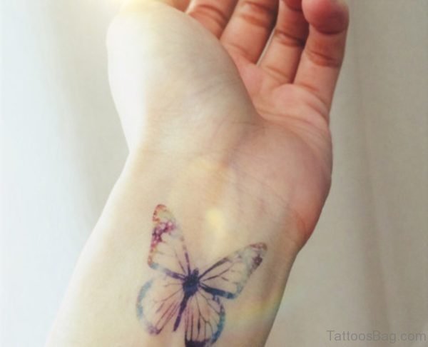 Attractive Butterfly Tattoo