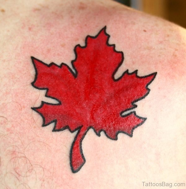 Attractive Maple Leaf Tattoo On Back