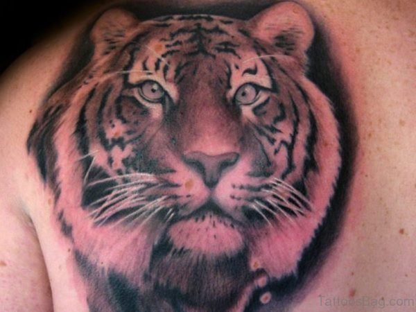 Attractive Tiger Face Tattoo