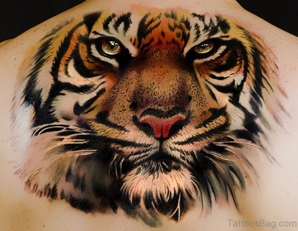 Attractive Tiger Tattoo On Back