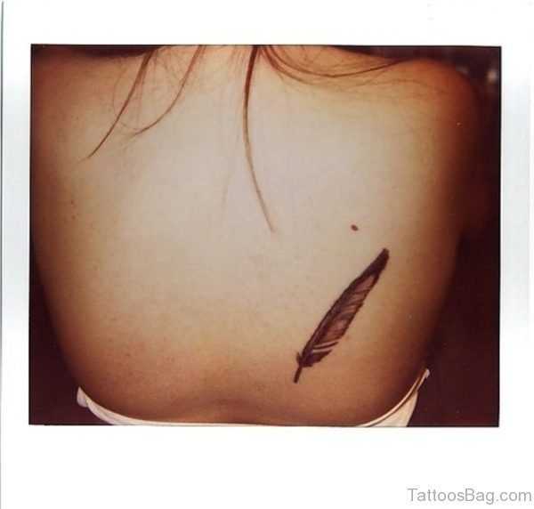 Feather Tattoo Design