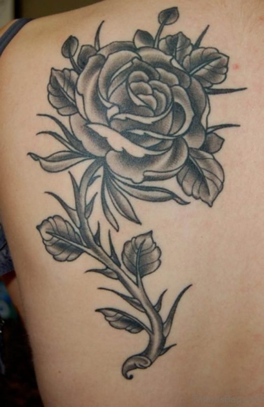 Black Rose Tattoo On Back