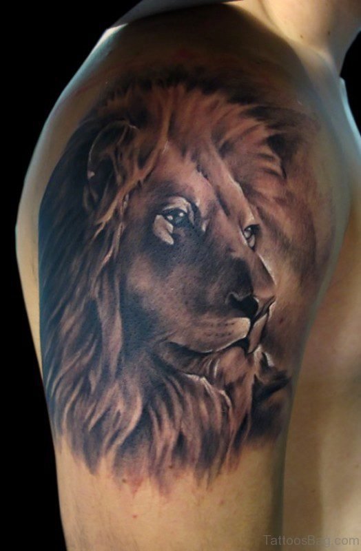 Calm Lion Shoulder Tattoo