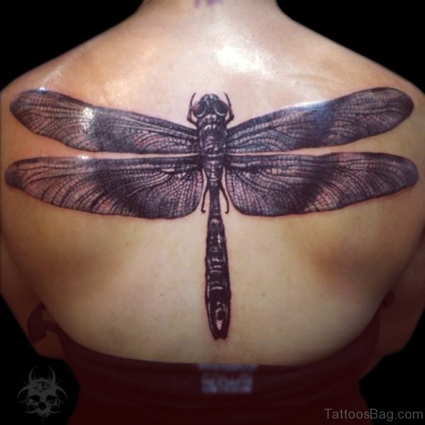Classic Dragonfly Tattoo On Back