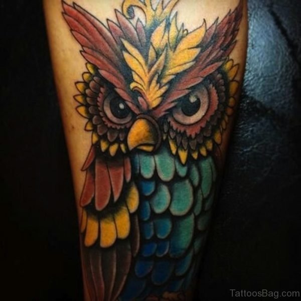 Colored Owl Tattoo Design
