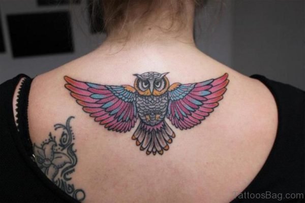 Colored Owl Tattoo On Upper Back