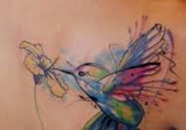 Colorful Bird Tattoo On Back