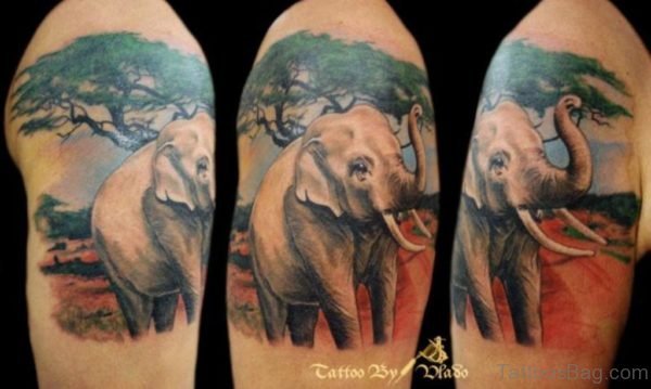 Colorful Elephant Tattoo On Shoulder