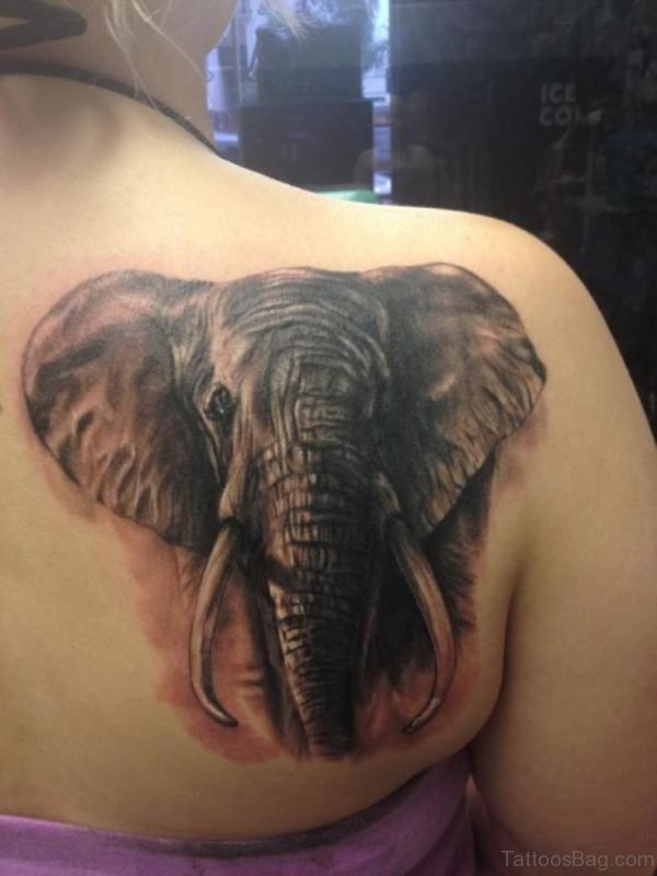 Cool Elephant Head Tattoo On Right Back Shoulder
