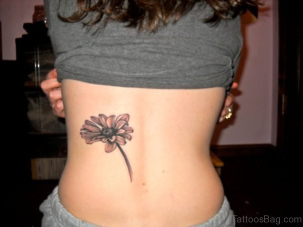Daisy Tattoo On Back