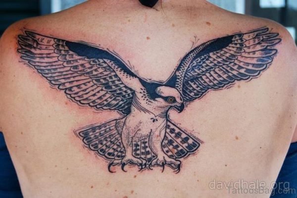 Eagle Bird Tattoo On Upper Back