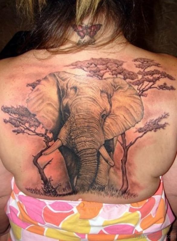 Elephant And Tree Tattoo