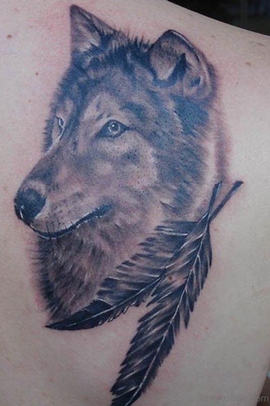 Feather And Wolf Tattoo