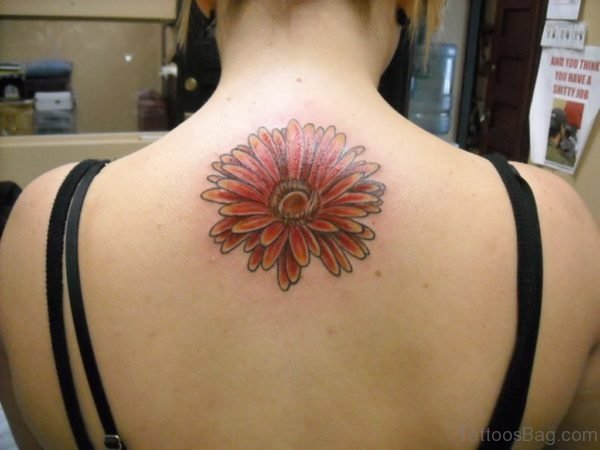 Gerber Daisy Tattoo Design On Upper Back