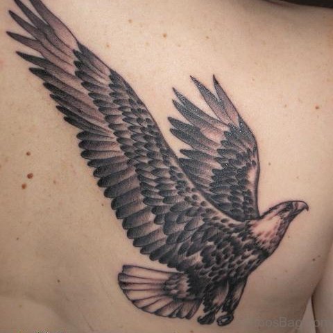 Grey Ink Eagle Tattoo