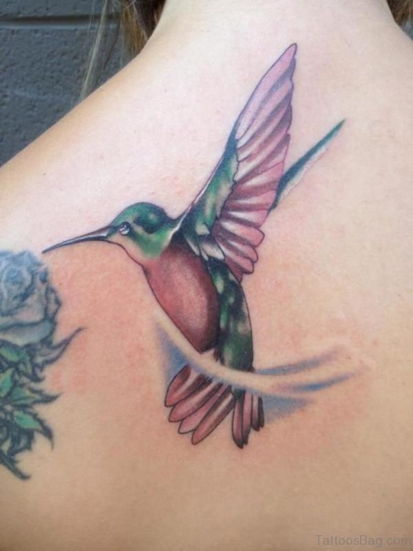 Hummingbird Tattoo On Back