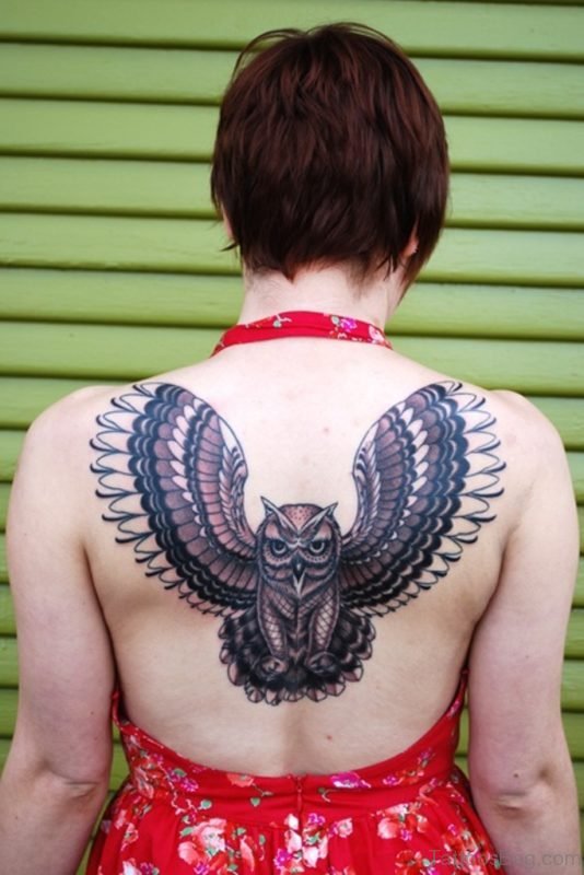 Impressive Owl Tattoo On Back