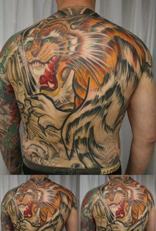 Japanese Tiger Tattoo