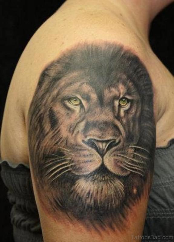 Lion Face Tattoo On Rght Shoulder