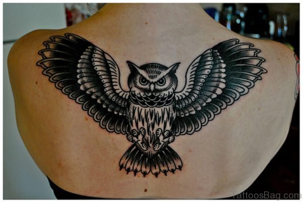 Owl Tattoo