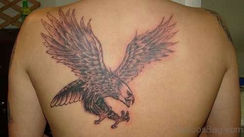 Nice Eagle Tattoo Design