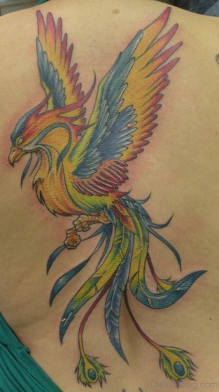 Nice Phoenix Tattoo Design