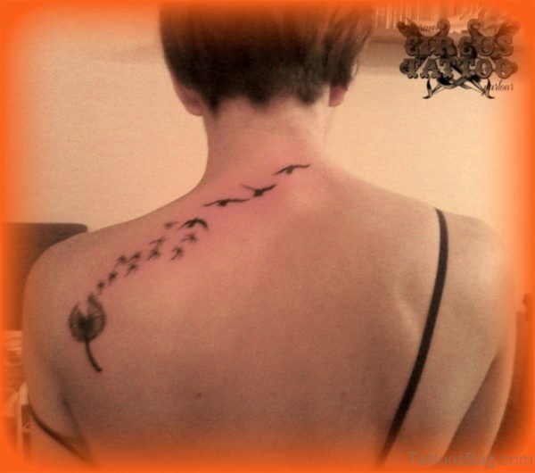 Outstanding Flying Birds Tattoo