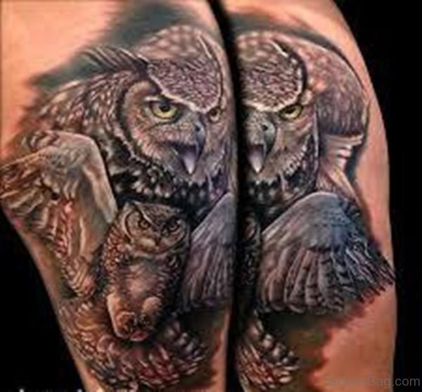 Owl Bird Tattoo