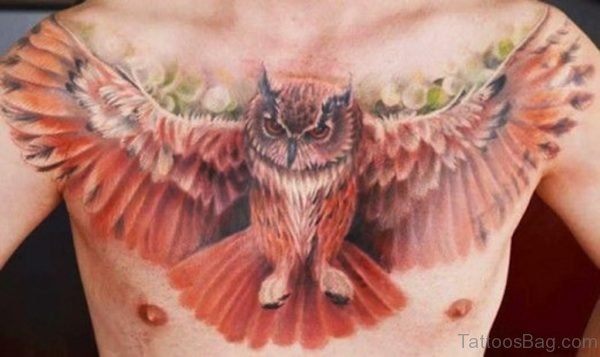 Owl Bird Tattoo
