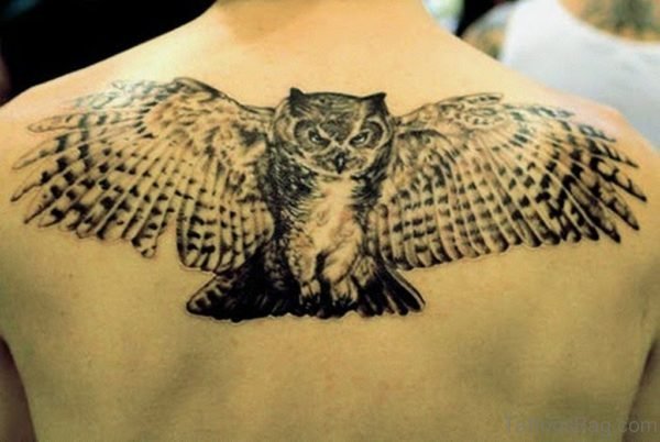 Owl Tattoo On Back
