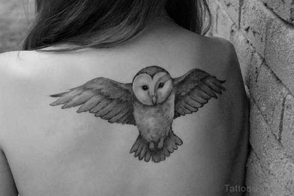 Owl Tattoo On Back