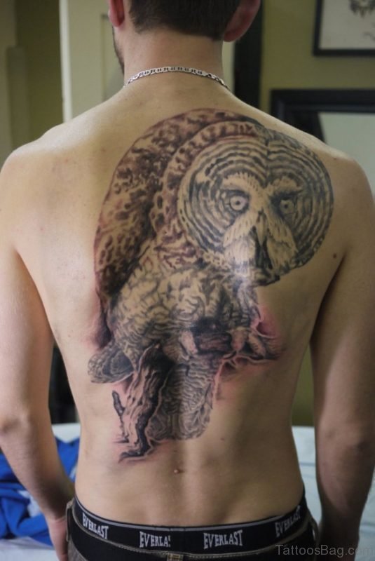 Owl Tattoo On Men Back