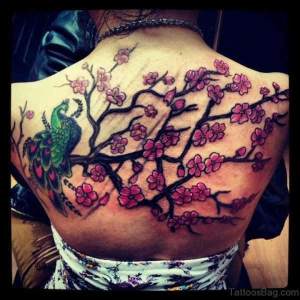 Peacock And Cherry Blossoms Tattoo