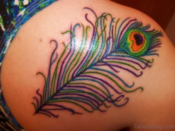 Peacock Feather Tattoo On Back