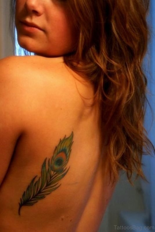 Peacock Feather Tattoo