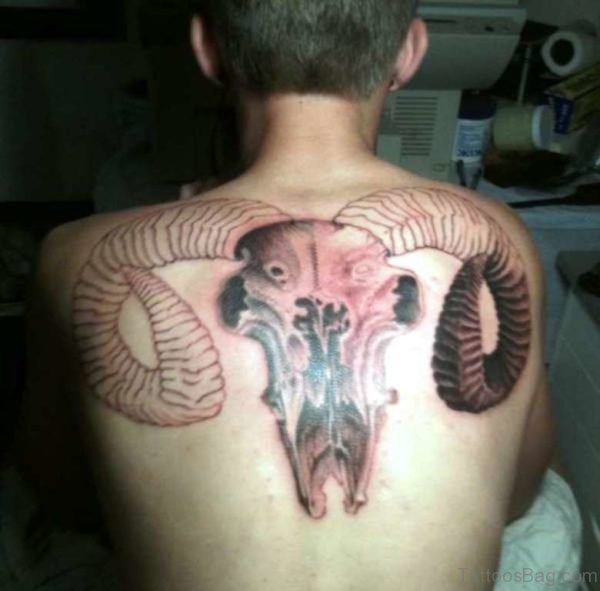 Skull And Deer Tattoo