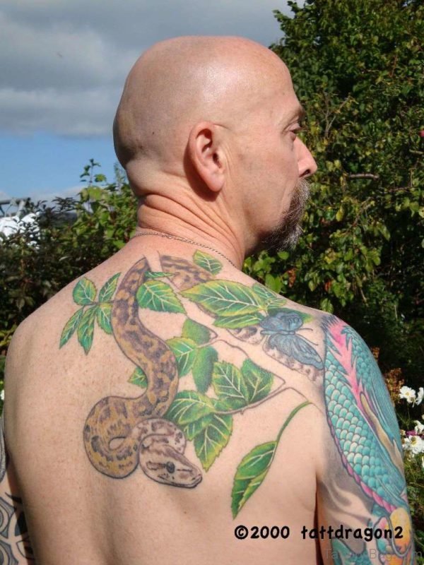 Snake And Butterfly Tattoo