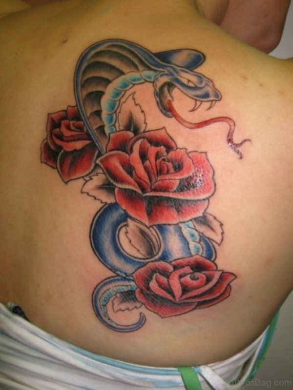 Snake And Red Rose Tattoos On Back