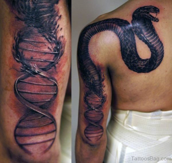 Impressive Snake Tattoo On Back