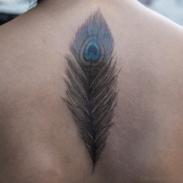 Stunning Peacock Feather Tattoo on Back