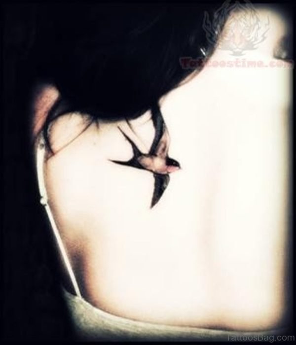 Swallow Tattoo On Back