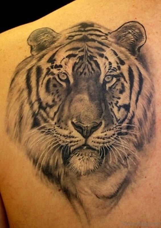 Tiger Face Tattoo