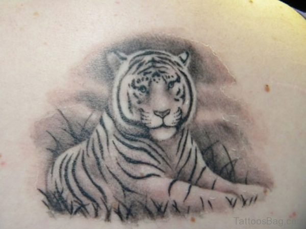 Tiger Tattoo