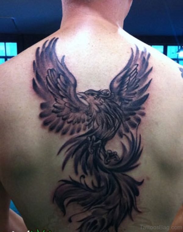 Traditional Phoenix Tattoo