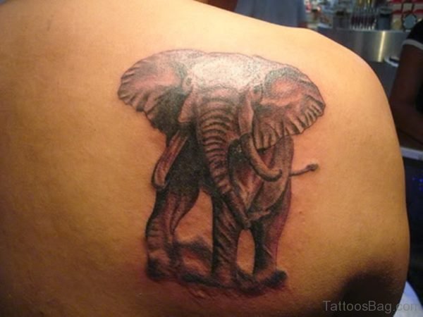 Wild Elephant Tattoo