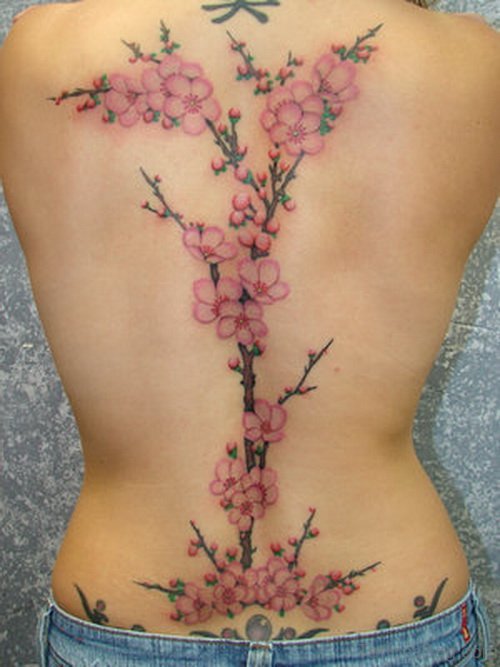 Wonderful Cherry Blossom Tattoo On Full Back