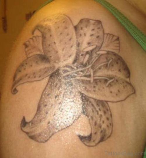 Wonderful Lily Tattoo On Right Shoulder