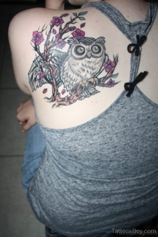 Wonderful Owl Tattoo On Back