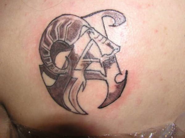 Zodiac Tattoo On Back